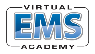 Virtual Academies