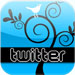 All a Twitter: A Personal and Professional Guide to Social Networking with Twitter App (iPhone)