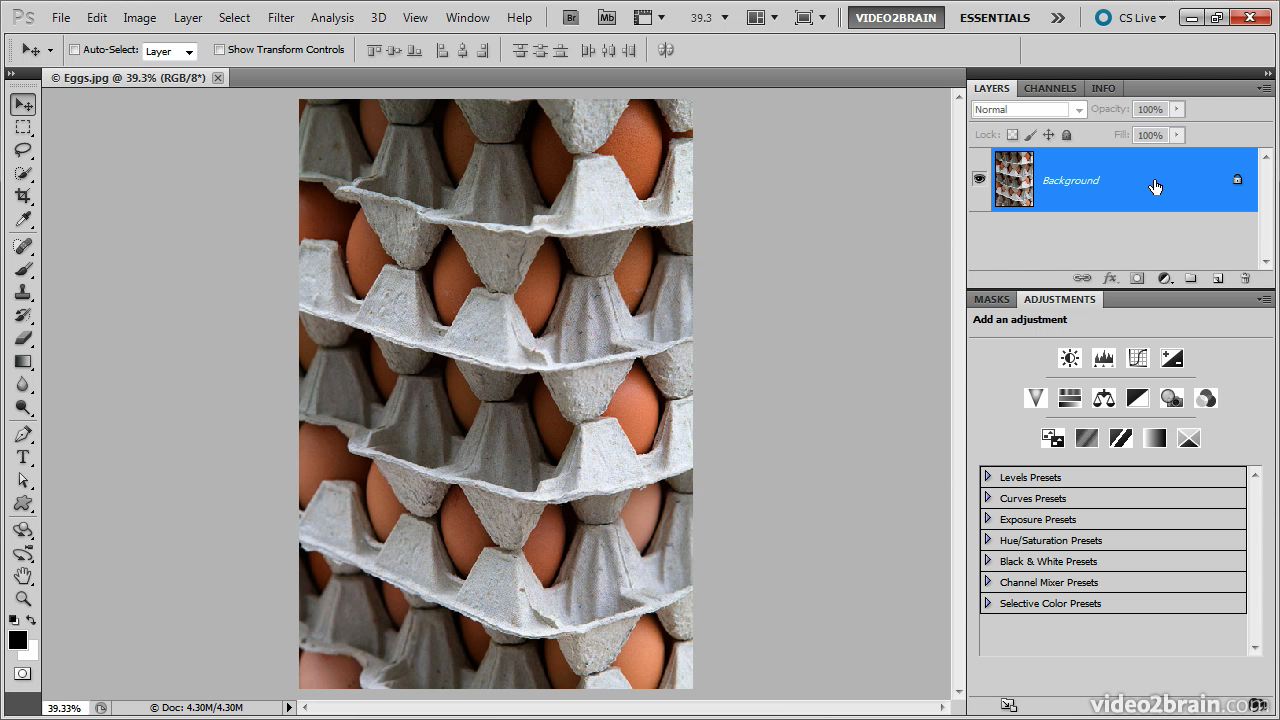 Using Layer Masks for Image Editing in Adobe Photoshop CS5: Learn by Video