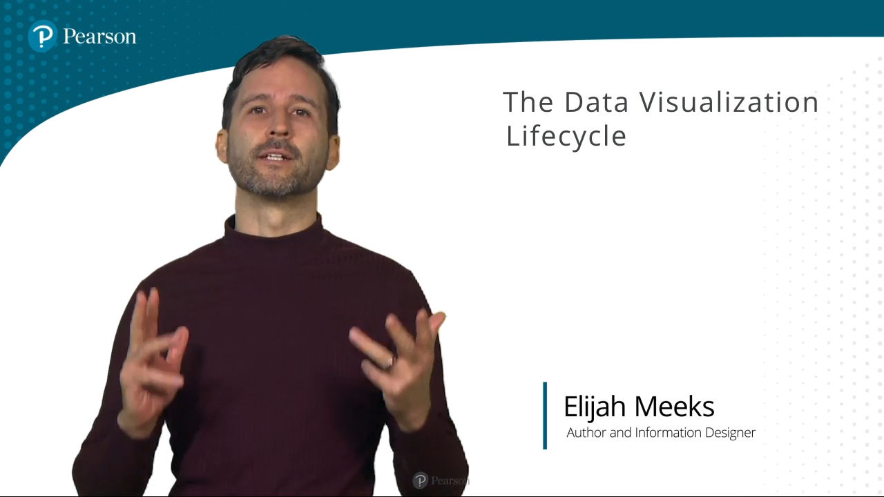 The Data Visualization Lifecycle (Video Training)