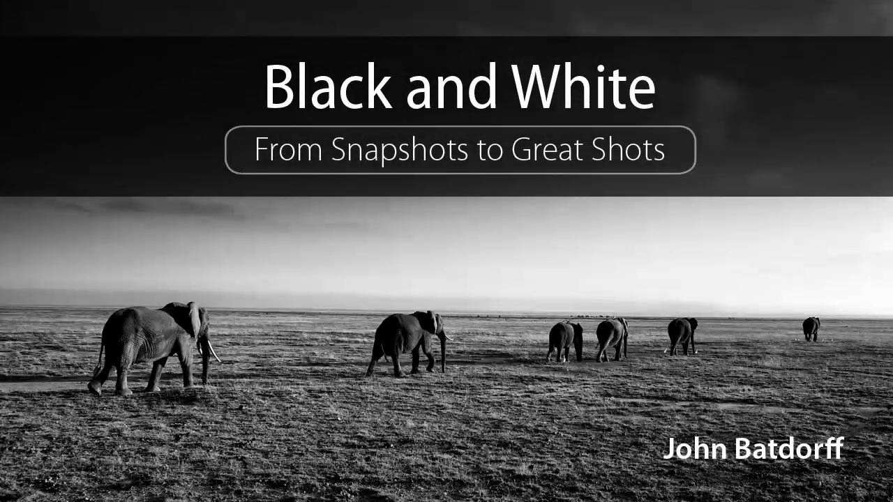 Black and White: From Snapshots to Great Shots (DVD)