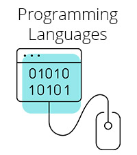 Professional IT Learning: Programming Languages from InformIT
