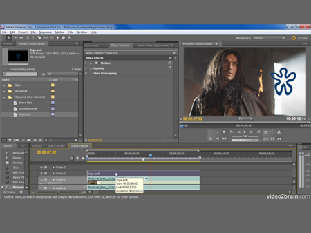 adobe premiere cs5.5 .mov